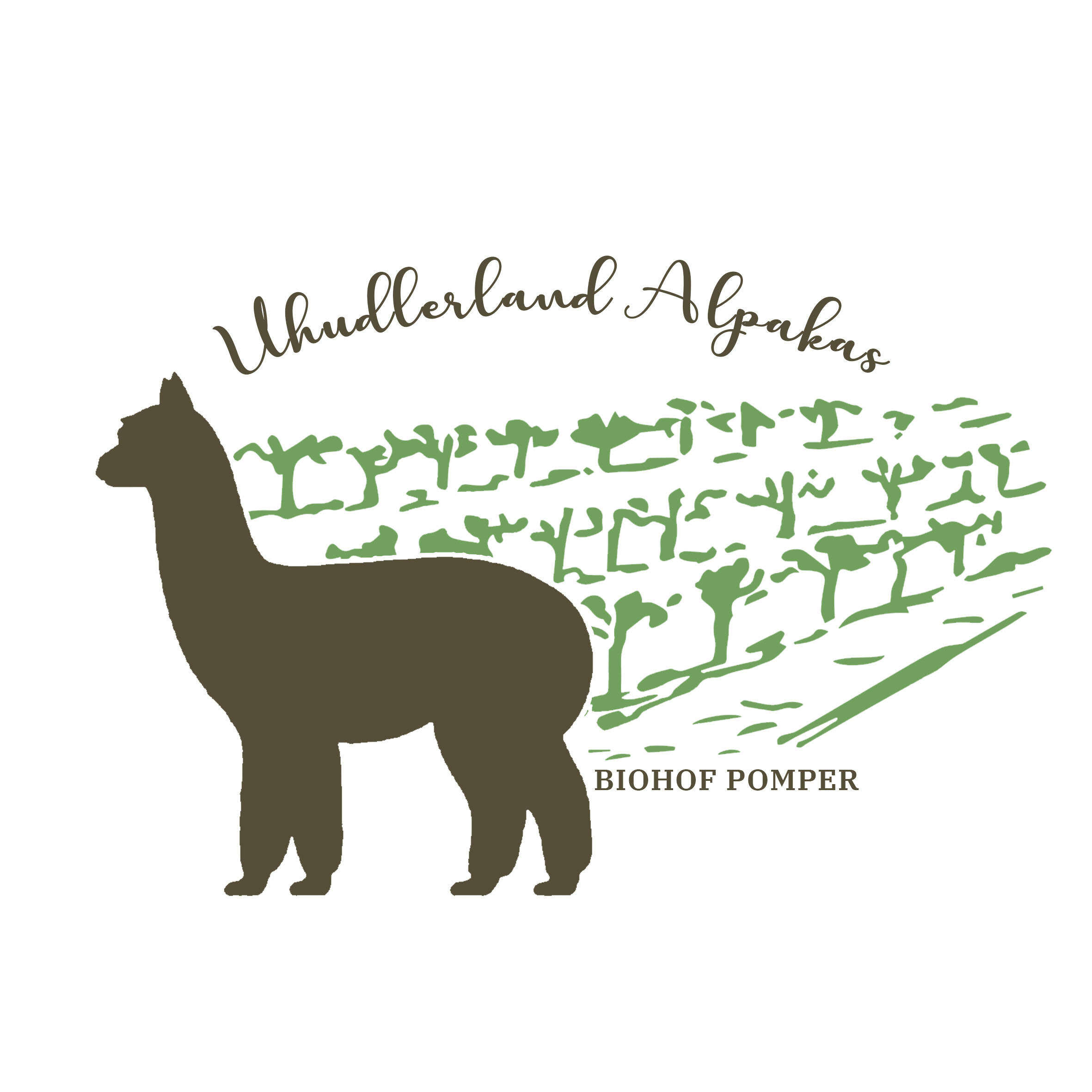 Uhudlerland Alpakas – Biohof Pomper